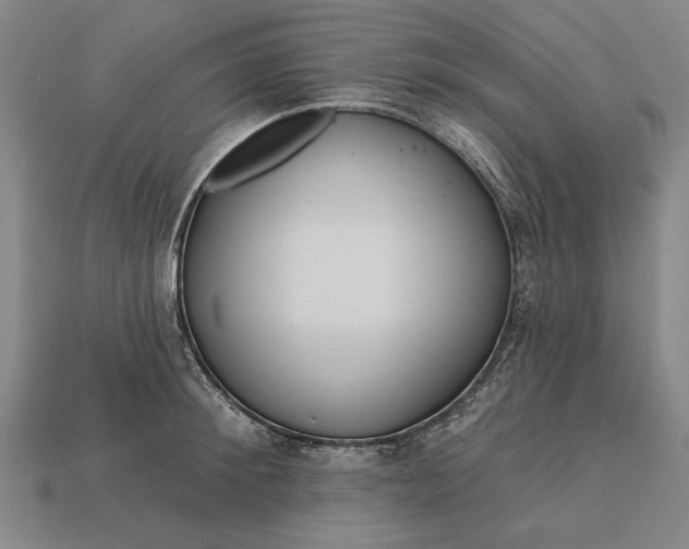 X0000113130900200909181707