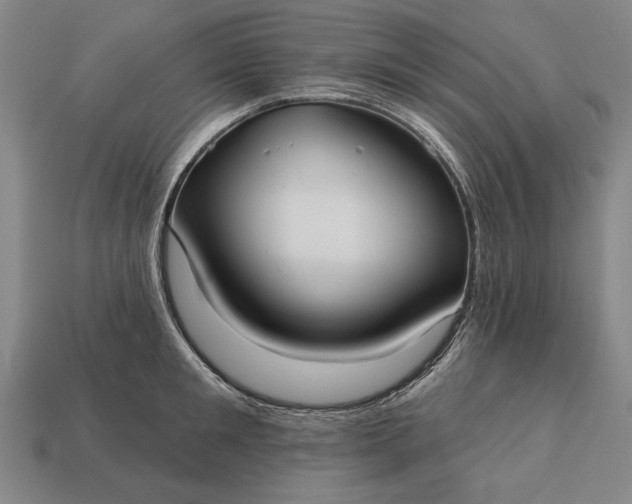 X0000113130901200909181707