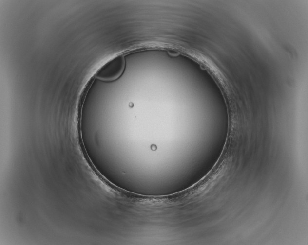 X0000113130902200909181707