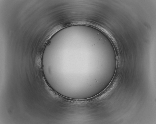 X0000113130905200909181707