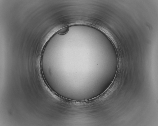 X0000113130906200909181707