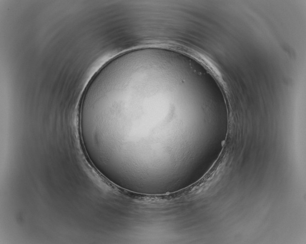 X0000113130907200909181707