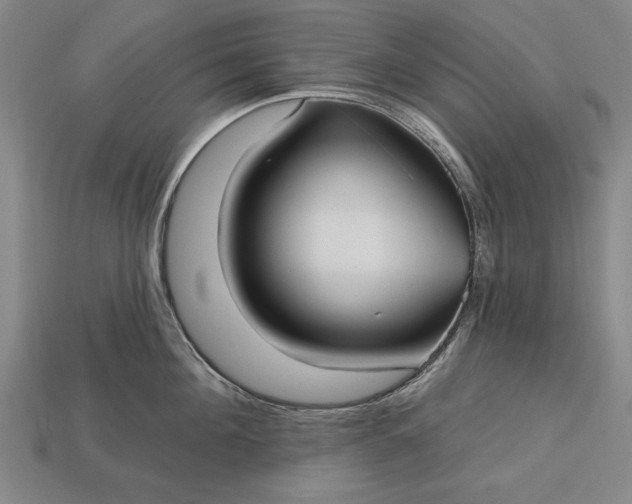 X0000113130908200909181707