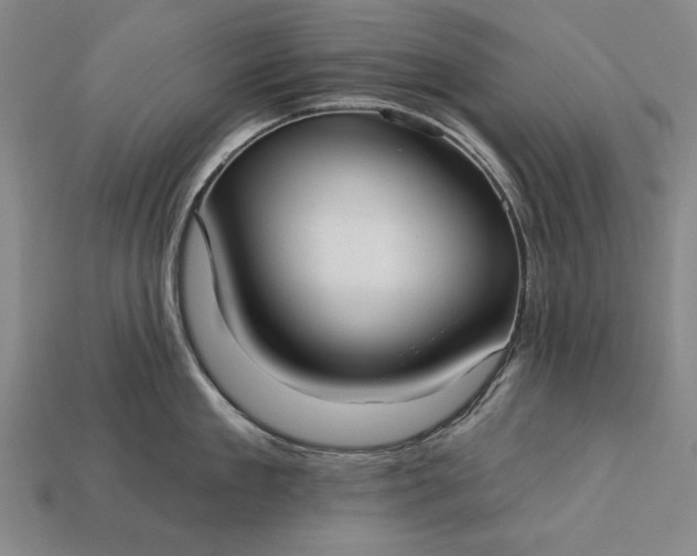 X0000113130909200909181707