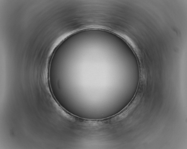 X0000113130910200909181707