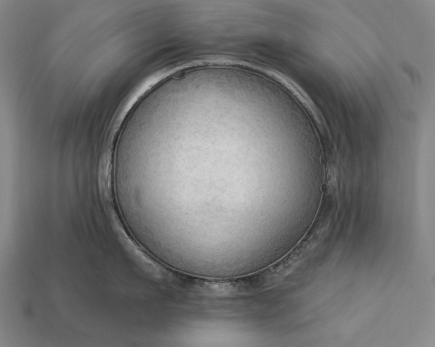 X0000113130911200909181707