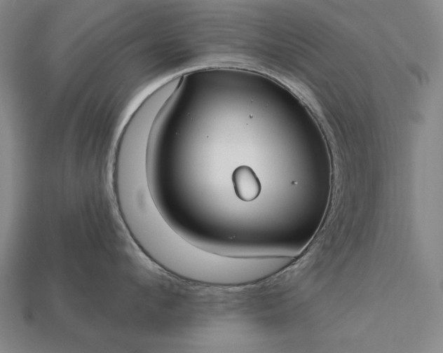 X0000113130912200909181707