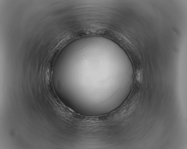 X0000113130915200909181706