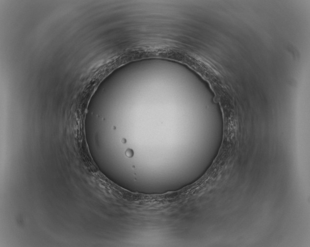 X0000113130917200909181706