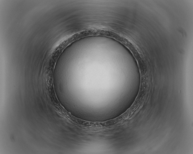 X0000113130919200909181706