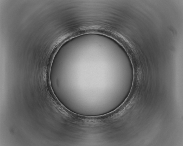 X0000113130921200909181706