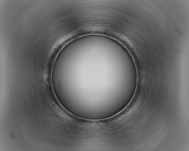 X0000113130922200909181706