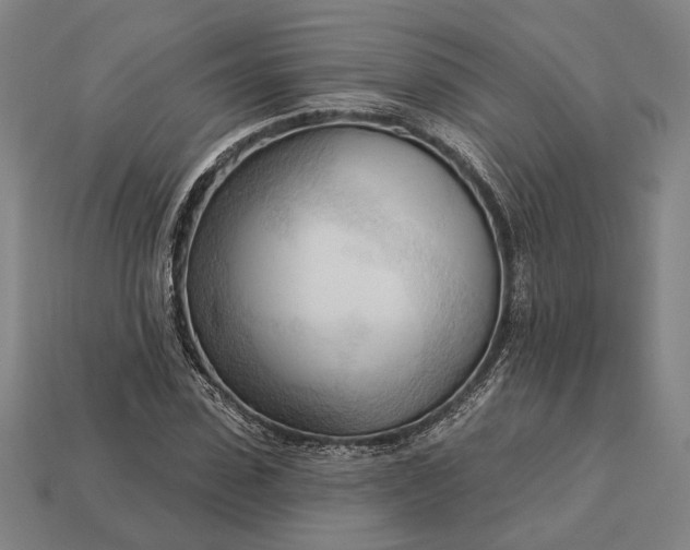 X0000113130923200909181706