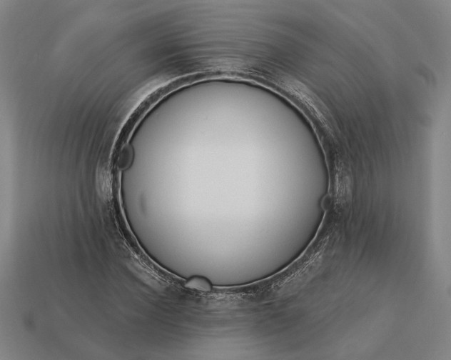 X0000113130924200909181706