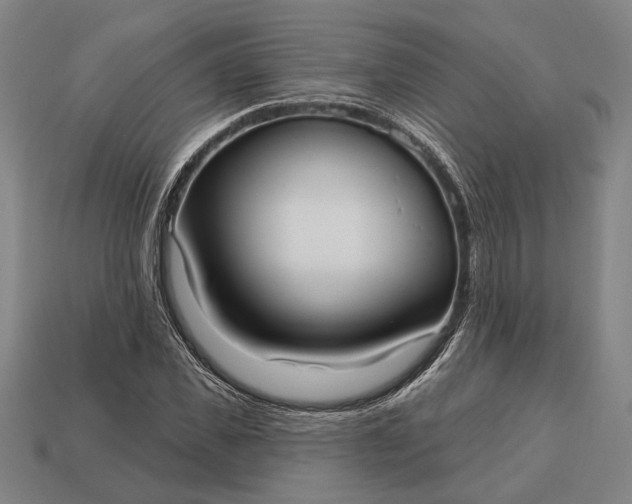 X0000113130925200909181706