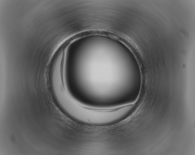 X0000113130926200909181706