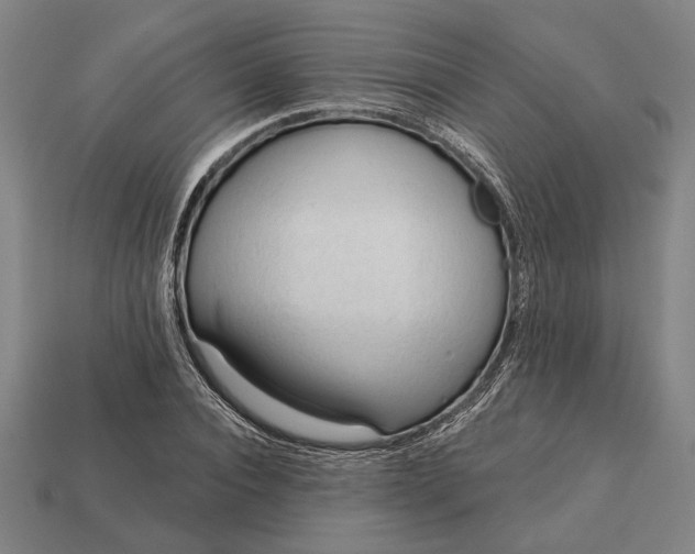 X0000113130928200909181706