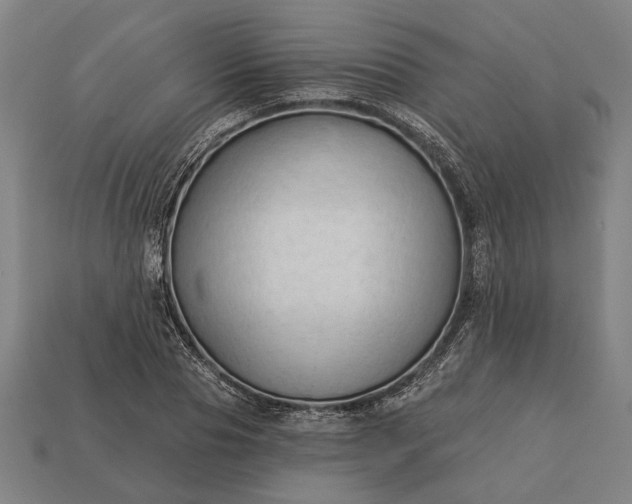 X0000113130929200909181706