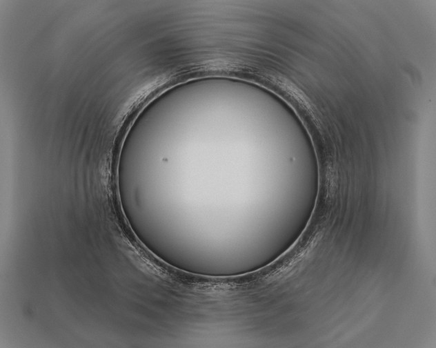 X0000113130930200909181706