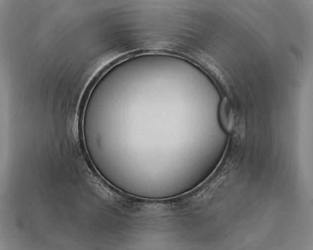 X0000113130932200909181706