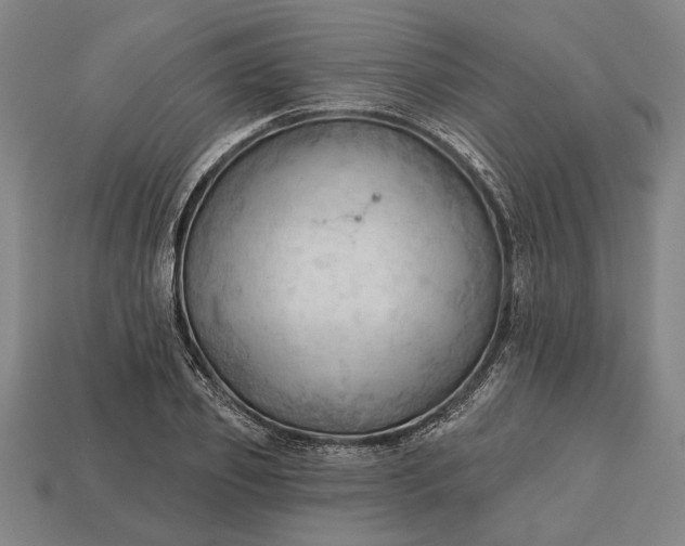 X0000113130933200909181706