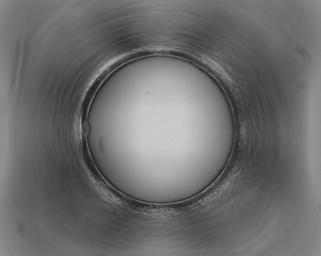 X0000113130934200909181706