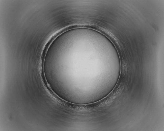 X0000113130935200909181706