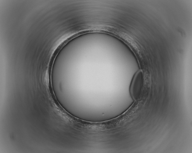 X0000113130936200909181706