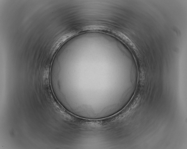 X0000113130937200909181706