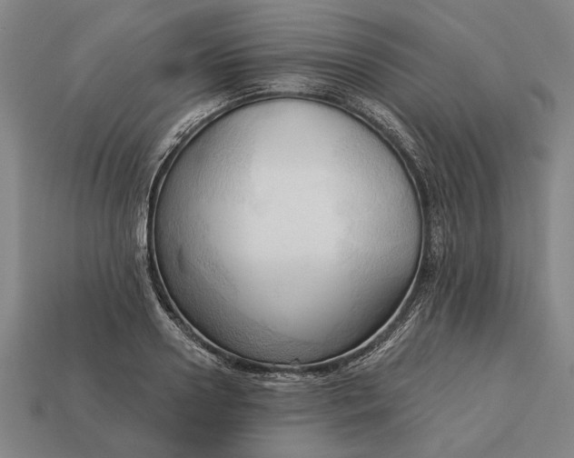 X0000113130938200909181706