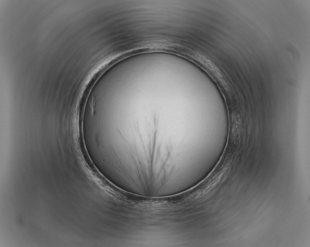 X0000113130939200909181706