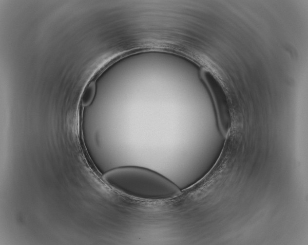 X0000113130940200909181706