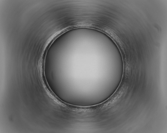 X0000113130941200909181706