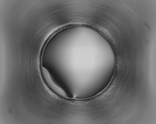 X0000113130942200909181706