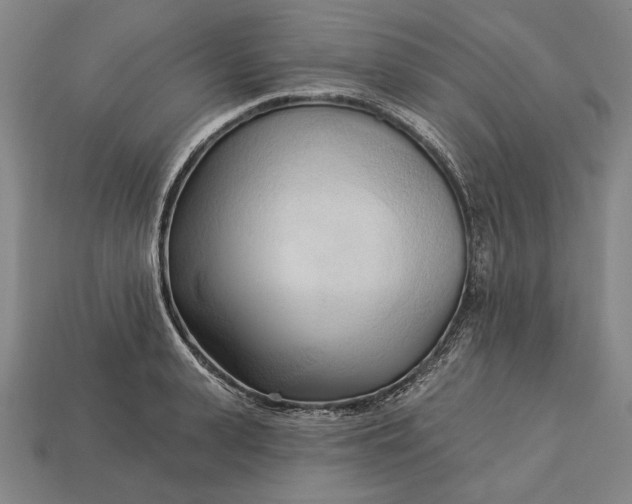 X0000113130943200909181706