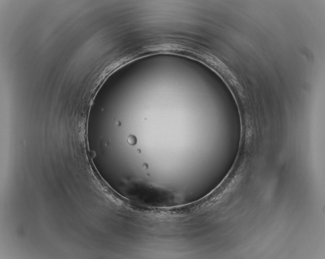 X0000113130945200909181706