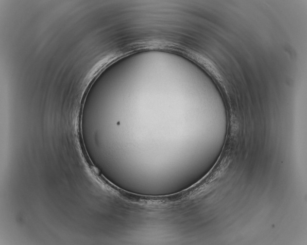 X0000113130946200909181706