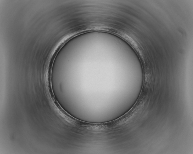 X0000113130947200909181706