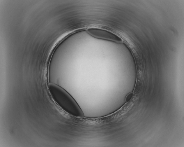 X0000113130948200909181706