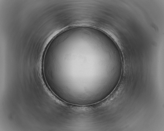 X0000113130949200909181706