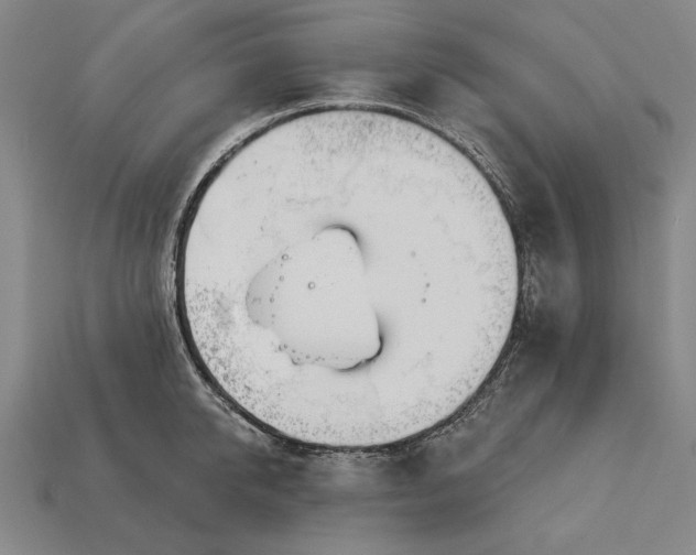 X0000113130950200909181706