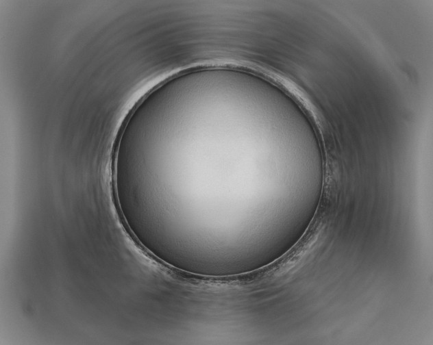 X0000113130951200909181706