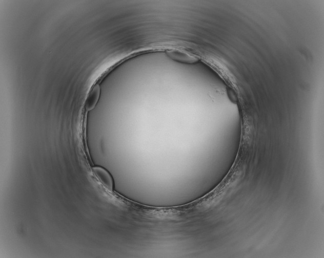 X0000113130952200909181706