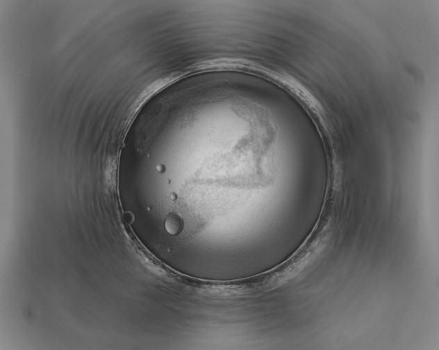 X0000113130953200909181706