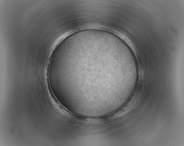 X0000113130954200909181706