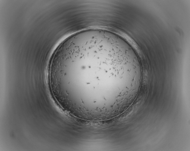 X0000113130955200909181707