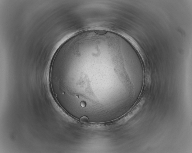 X0000113130957200909181707