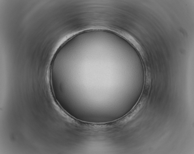 X0000113130958200909181707