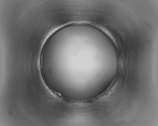 X0000113130959200909181707