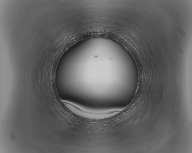 X0000113130961200909181706